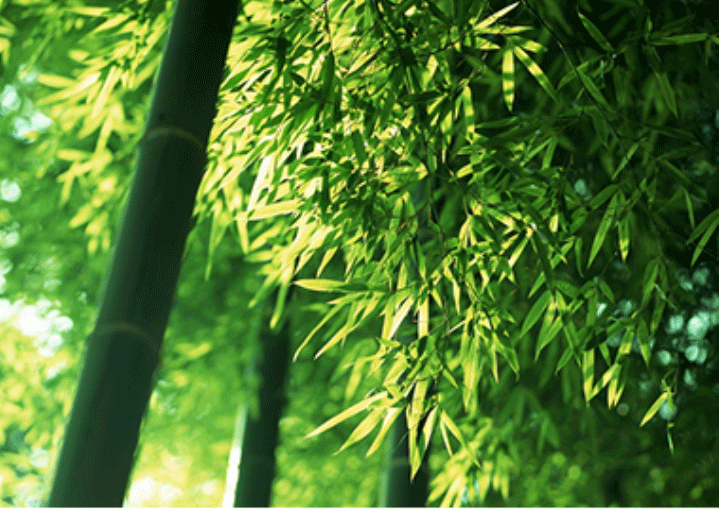 华体汇官网登录入口